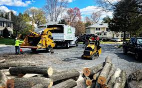 Best Tree Cabling and Bracing  in Oakwood, GA