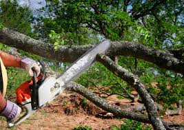 Lawn Watering Services in Oakwood, GA