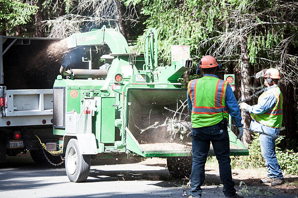 Best Leaf Removal  in Oakwood, GA