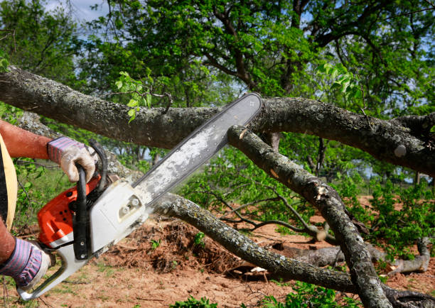 Best Lawn Irrigation Installation and Maintenance  in Oakwood, GA